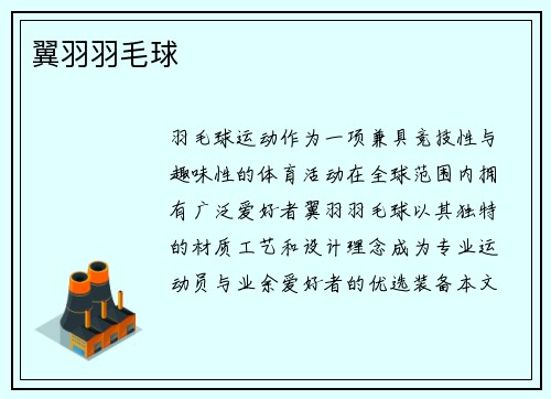 翼羽羽毛球